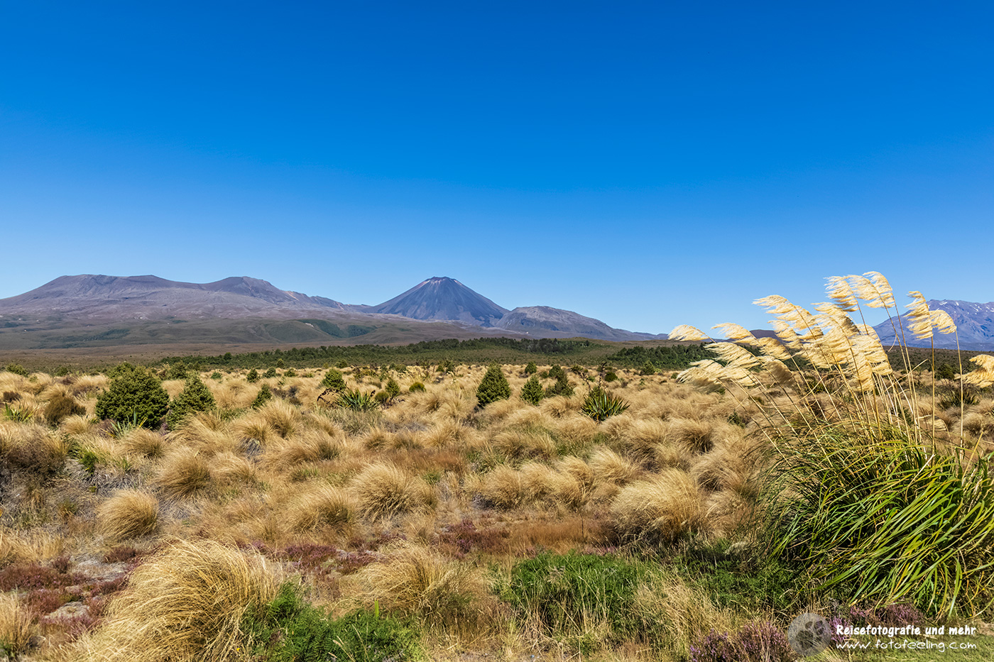 Aussicht vom State Highway 48 auf die Vulkane Mount Ngauruhoe und Mount Tongariro