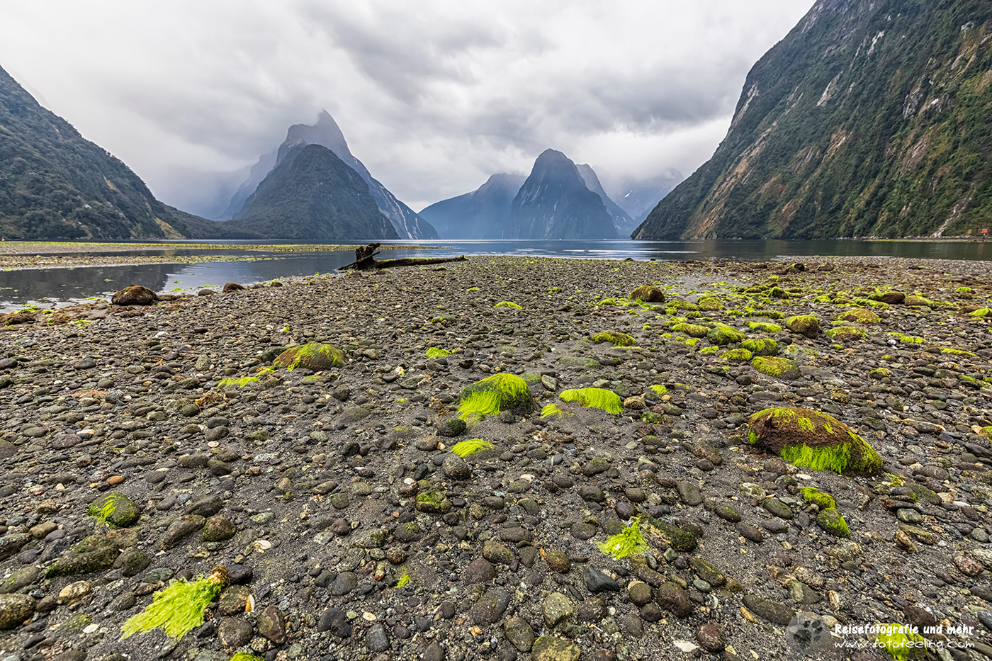 Mitre Peak und Milford Sound Strand bei Ebbe mit grünen Algen auf den Steinen