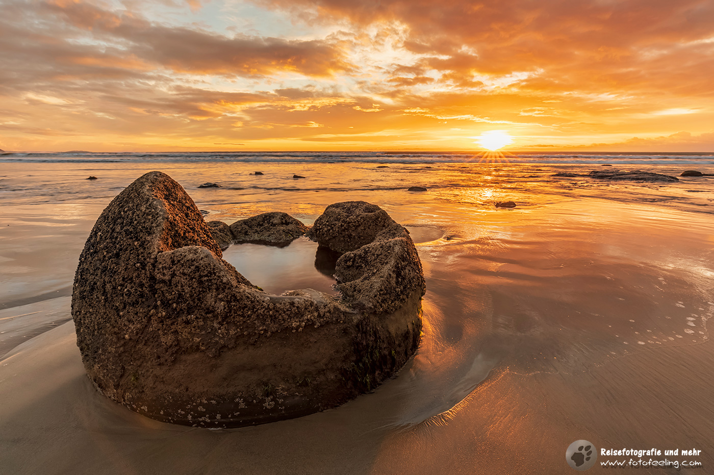 Moeraki Boulders im Meer bei Sonnenaufgang