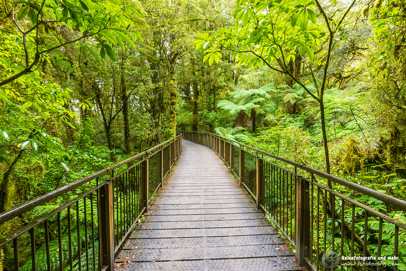 Brücke auf dem "The Chasm Walk"