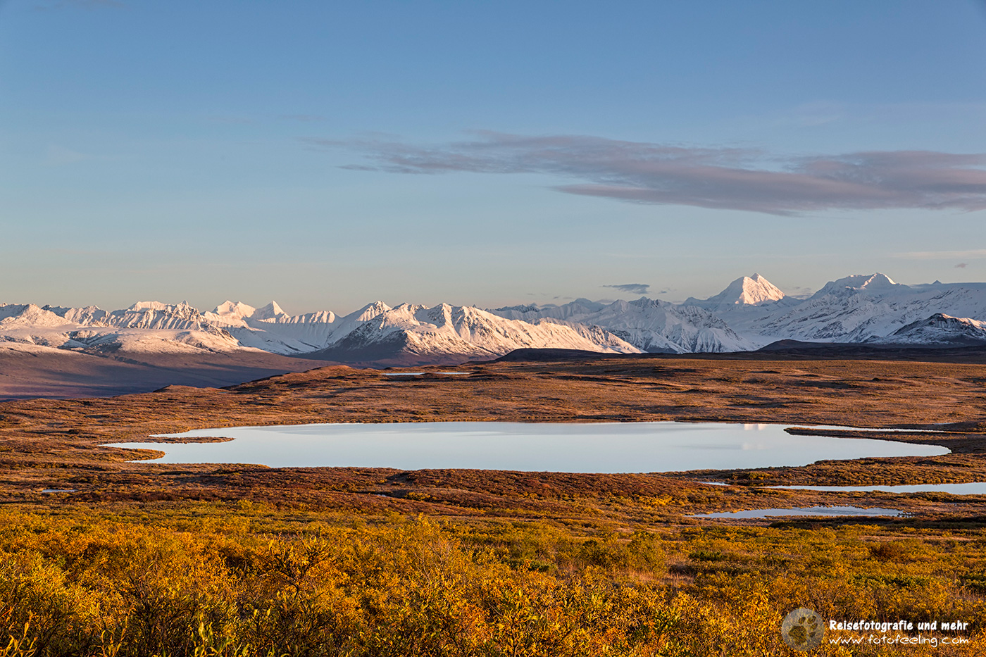 Blick auf die Alaska Range