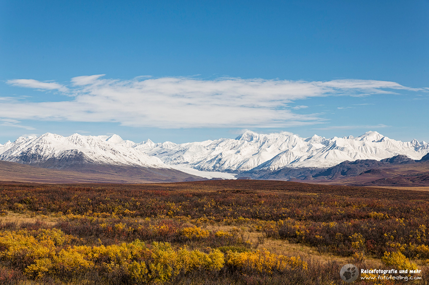 Blick auf die Alaska Range