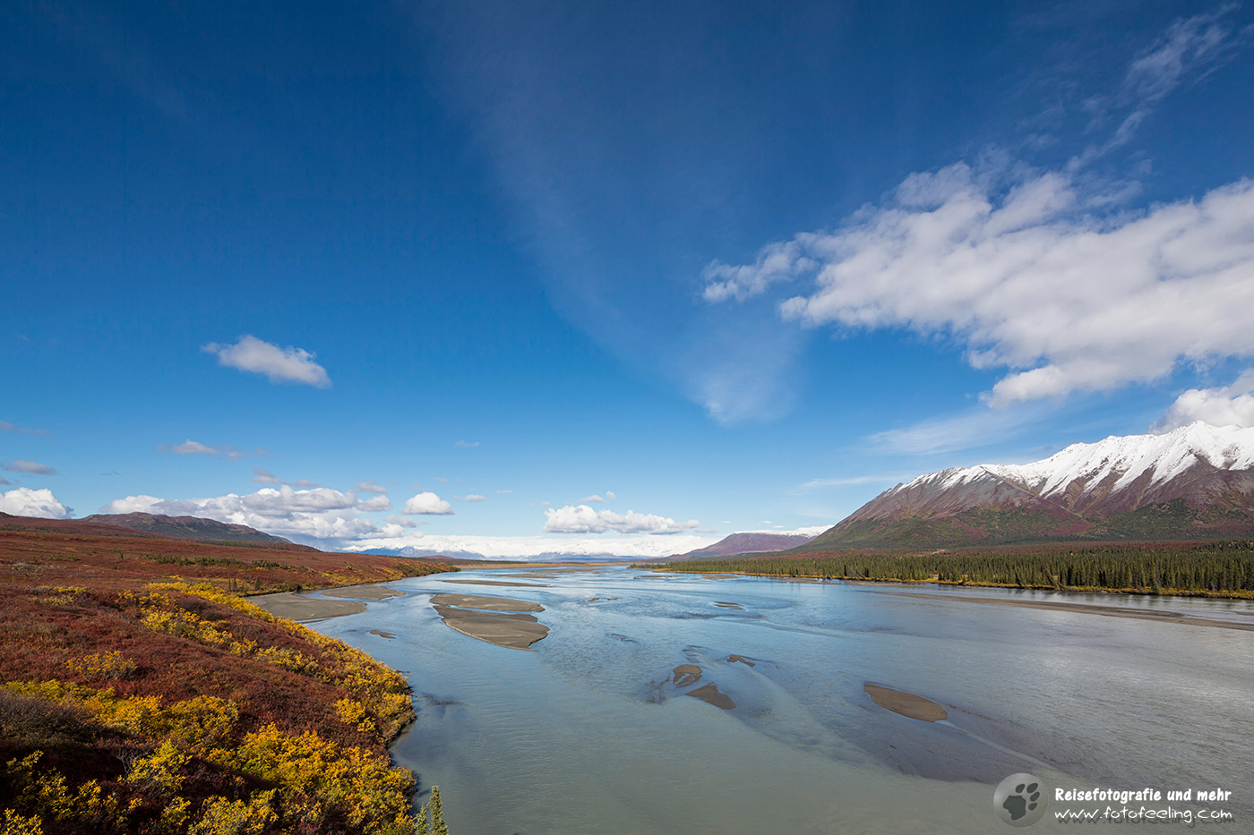 Am Susitna River
