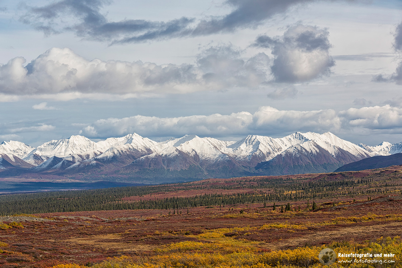 Schneebedeckte Berge der Alaska Range