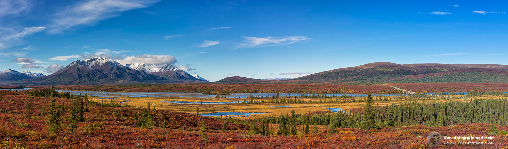 Herbstimmung am Denali Hwy
