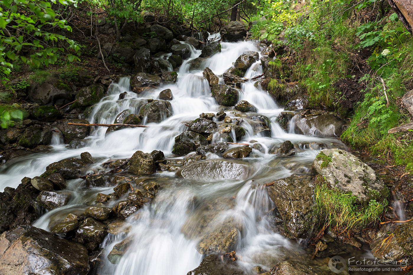 Falls Creek, Turnagain Arm im Cook Inlet