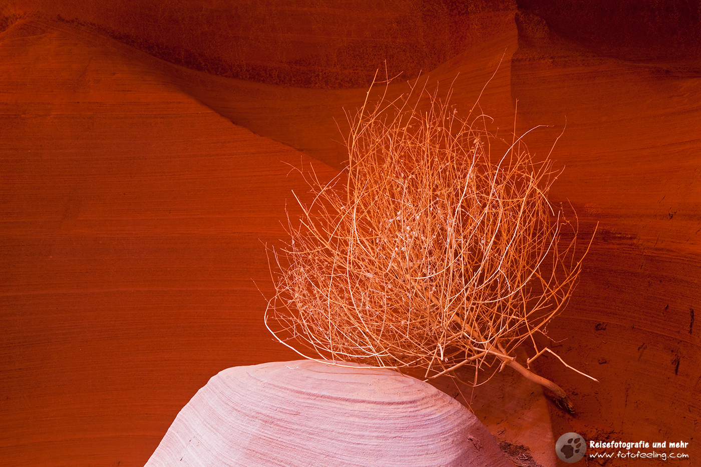 Lower Antelope Canyon