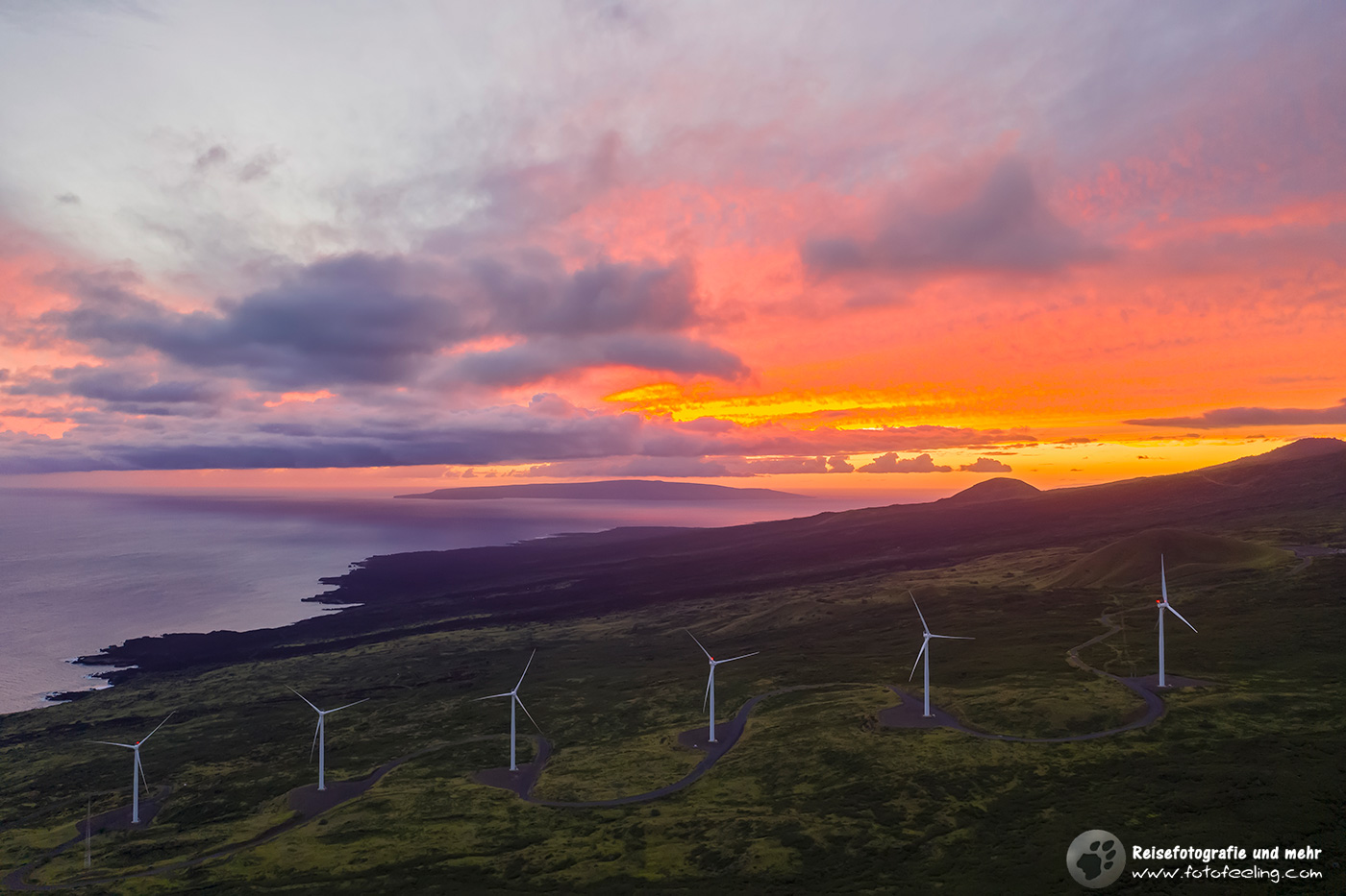 Windräder im Sonnenuntergang