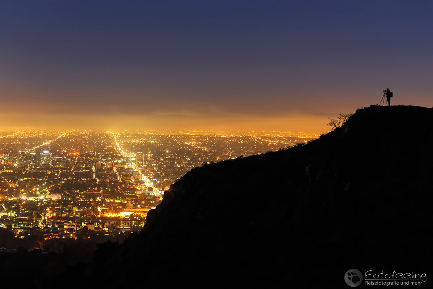 Aussicht vom Griffith Observatory auf die Skyline von Los Angeles, blaue Stunde