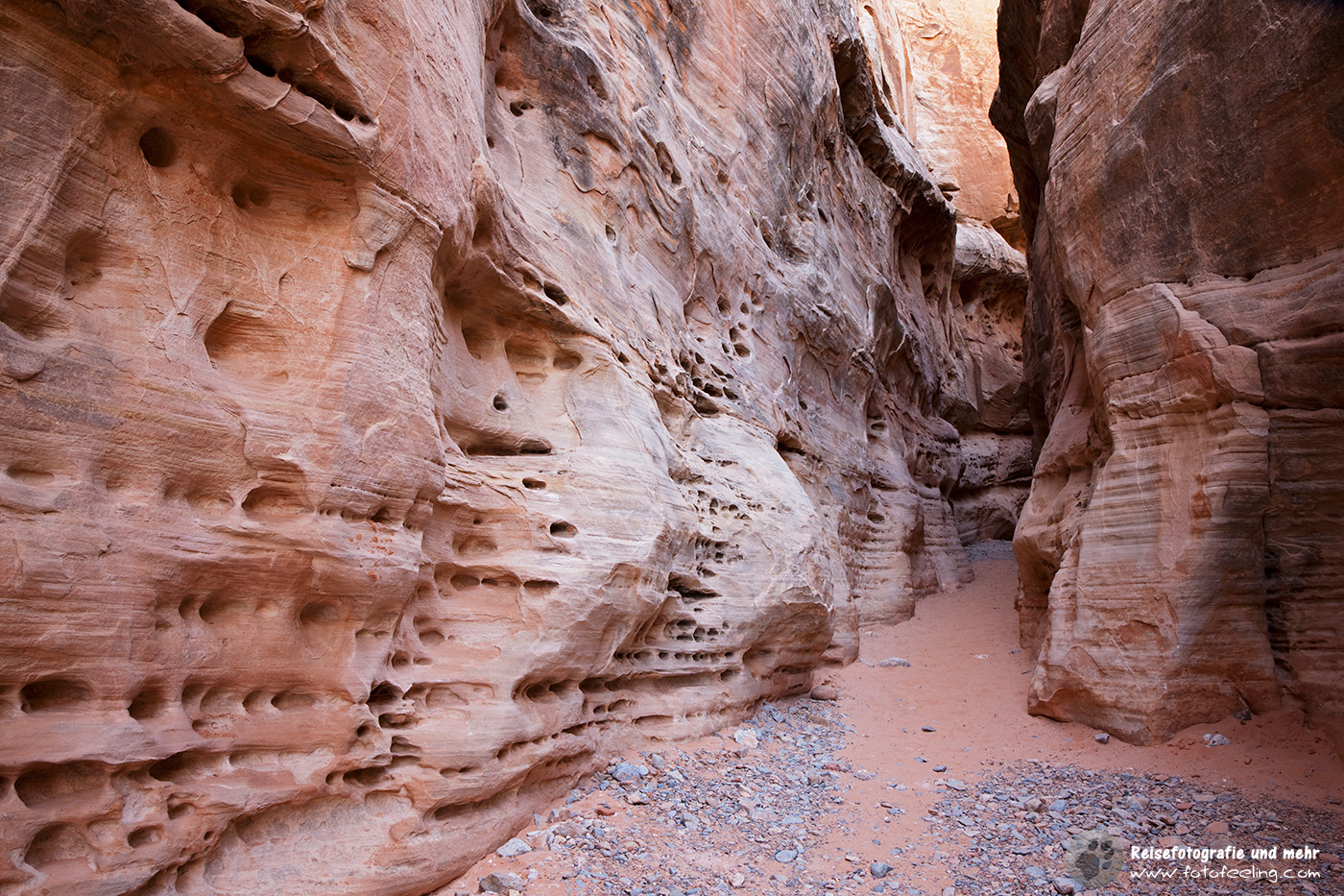 White Dome Slot Canyon