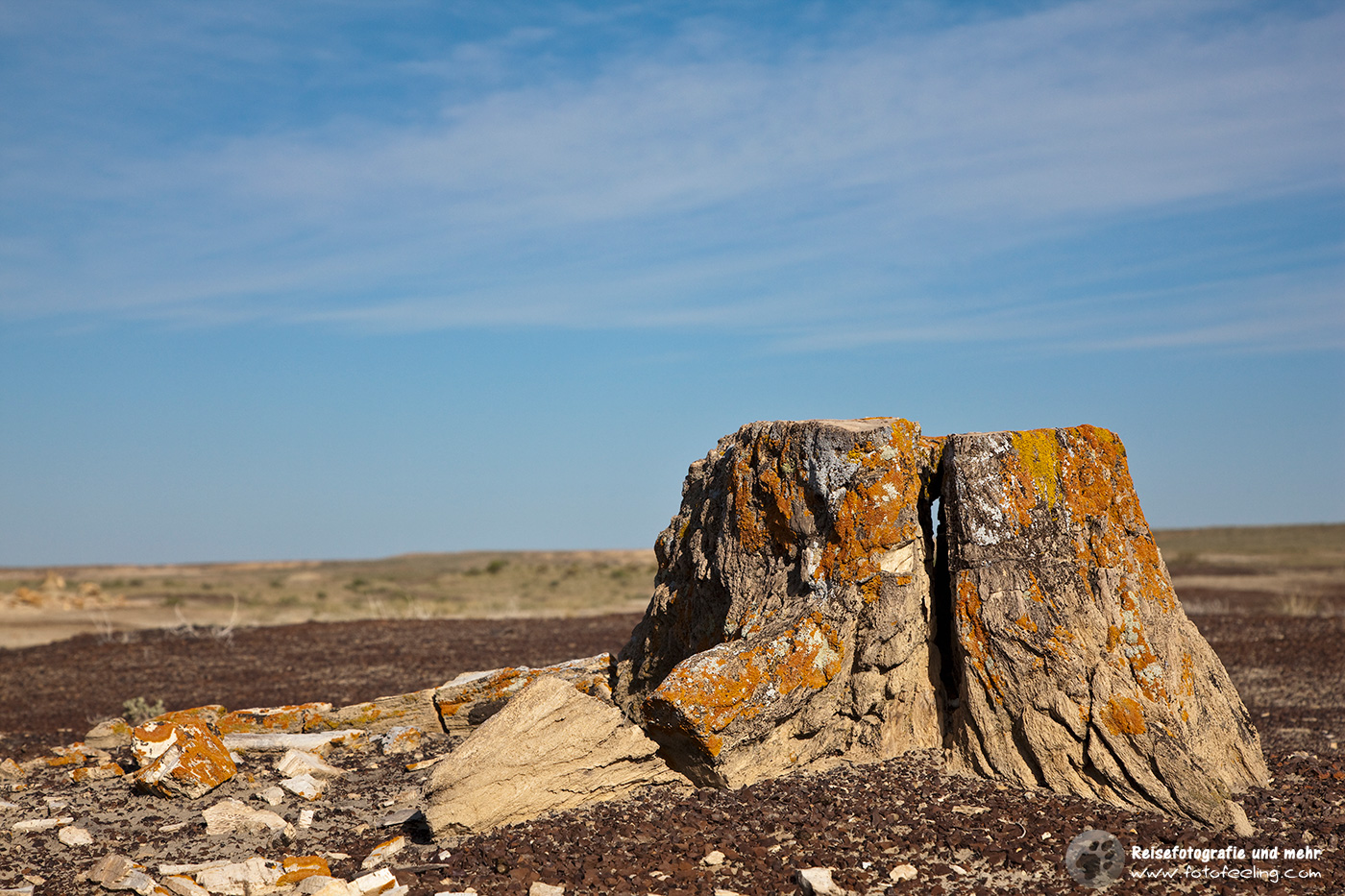 Versteinerter Baumstamm, Ah-shi-sle-pah