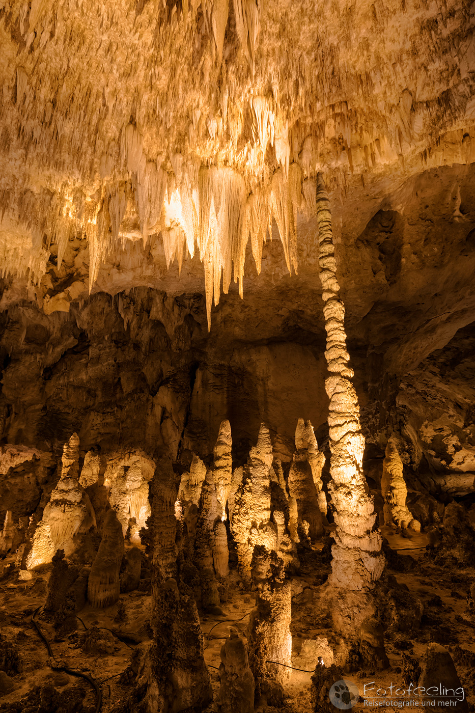 Carlsbad Caverns