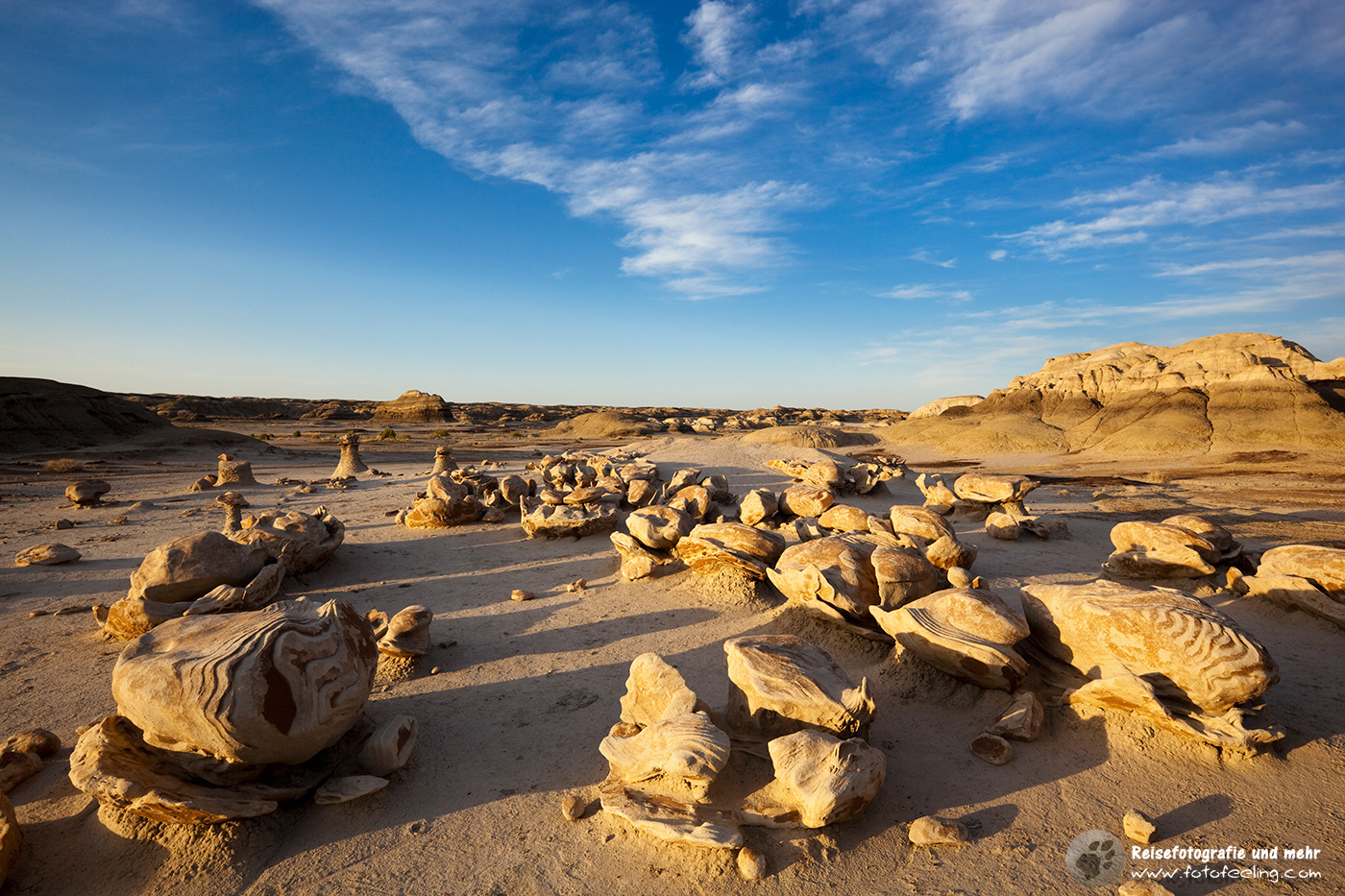 Cracked Eggs, Landschaft in den Bisti Badlands