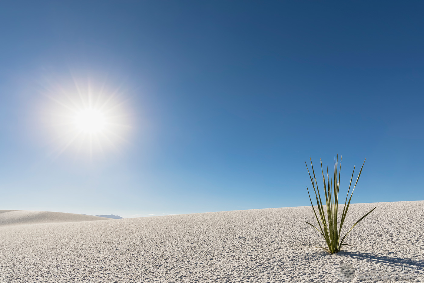 White Sands