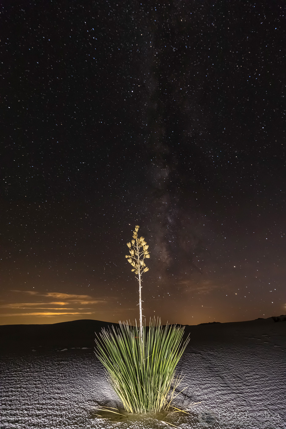 Sternenhimmel in White Sands