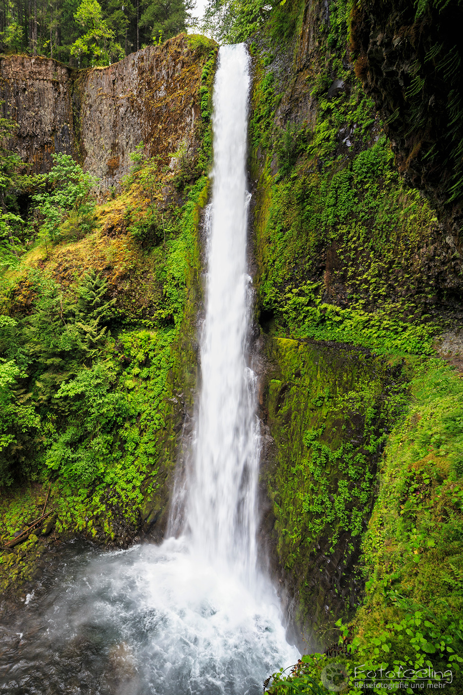 Tunnel Falls, Columbia River Gorge