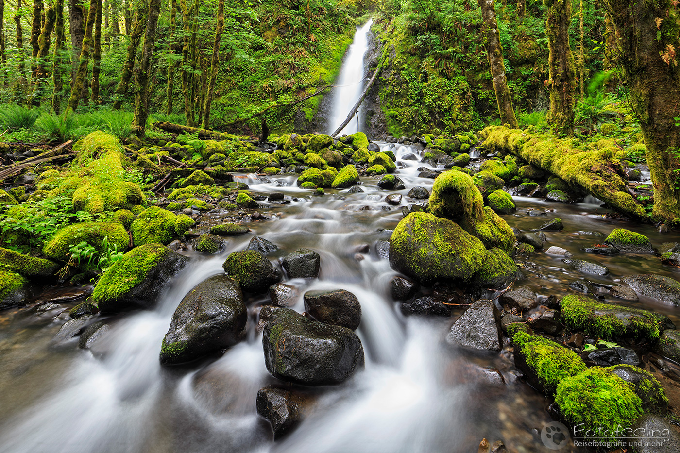 Ruckel Creek Falls, Columbia River Gorge