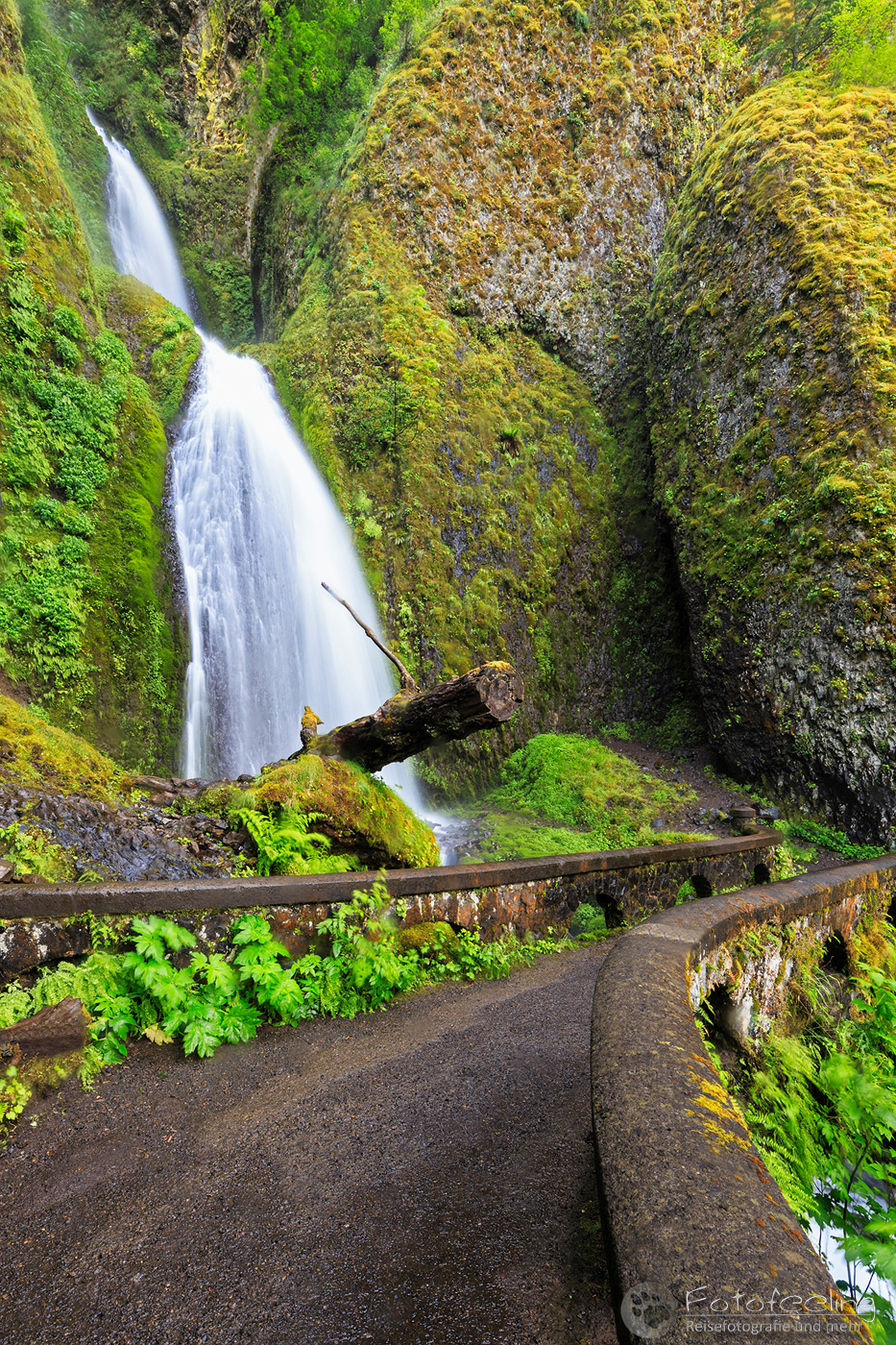 Multnomah Falls Wahkeena Falls Loop, Columbia River Gorge