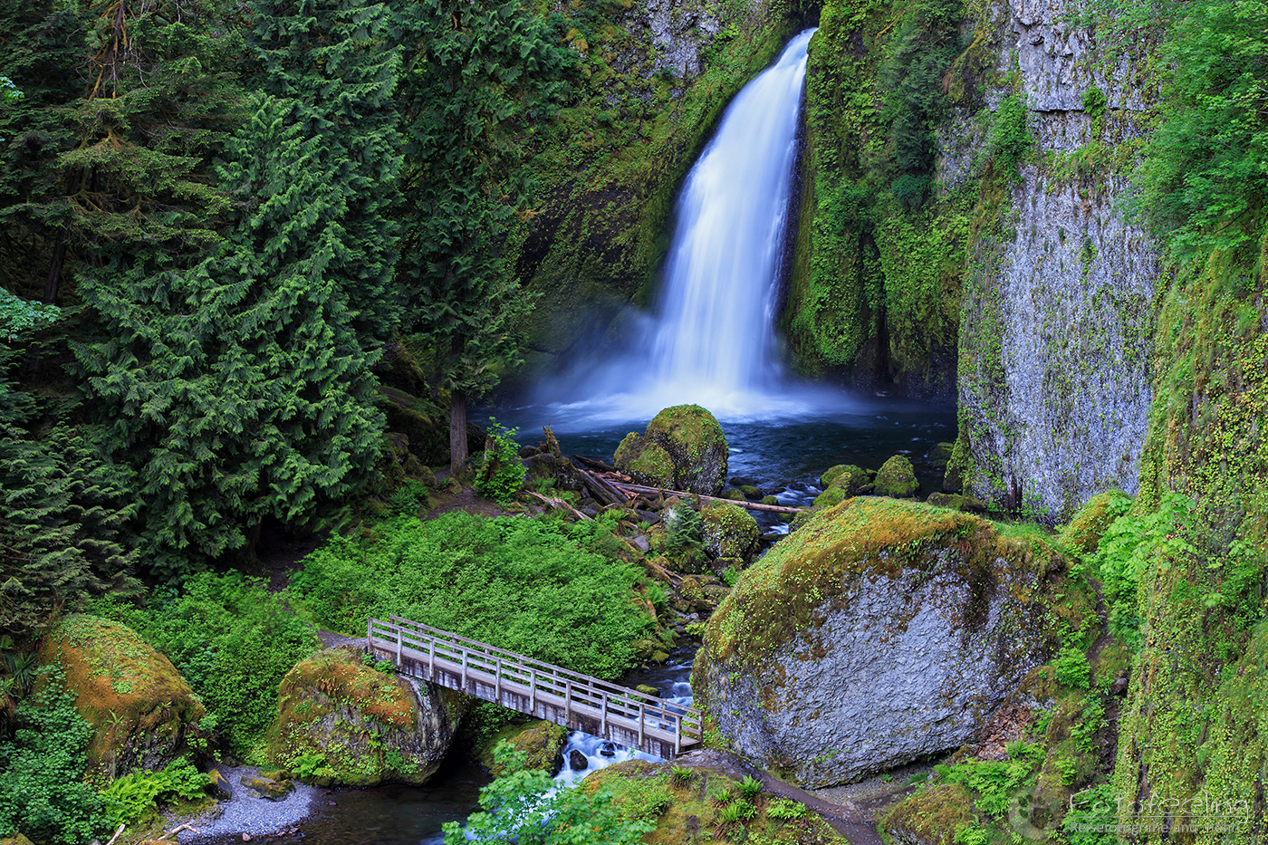 Wahclella Falls, Columbia River Gorge