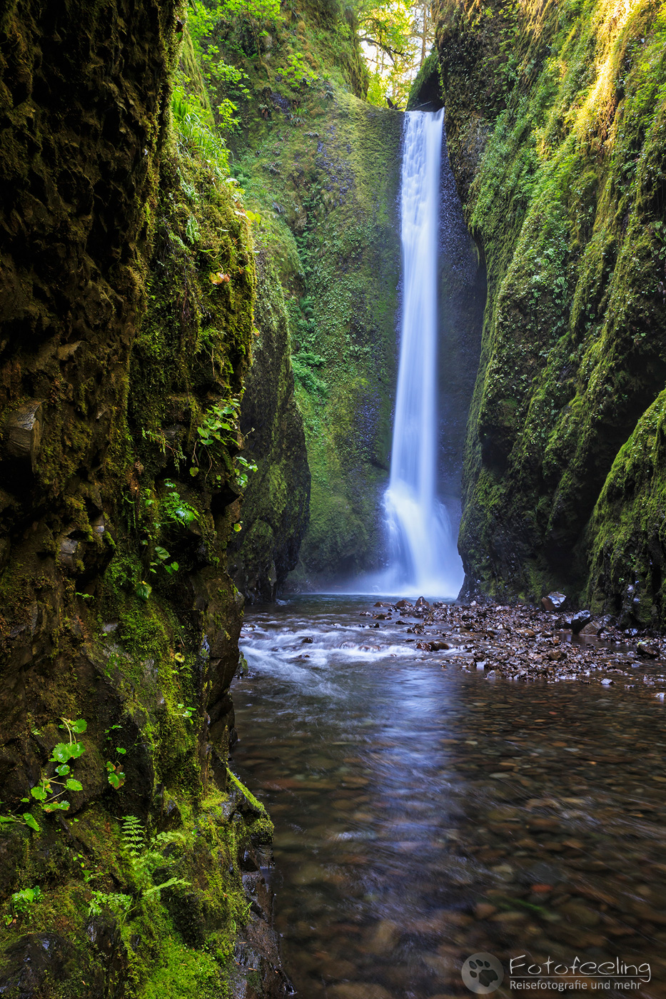 Lower Oneonta Falls, Columbia River Gorge