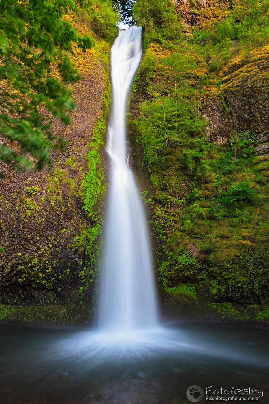 Horsetail Falls, Columbia River Gorge