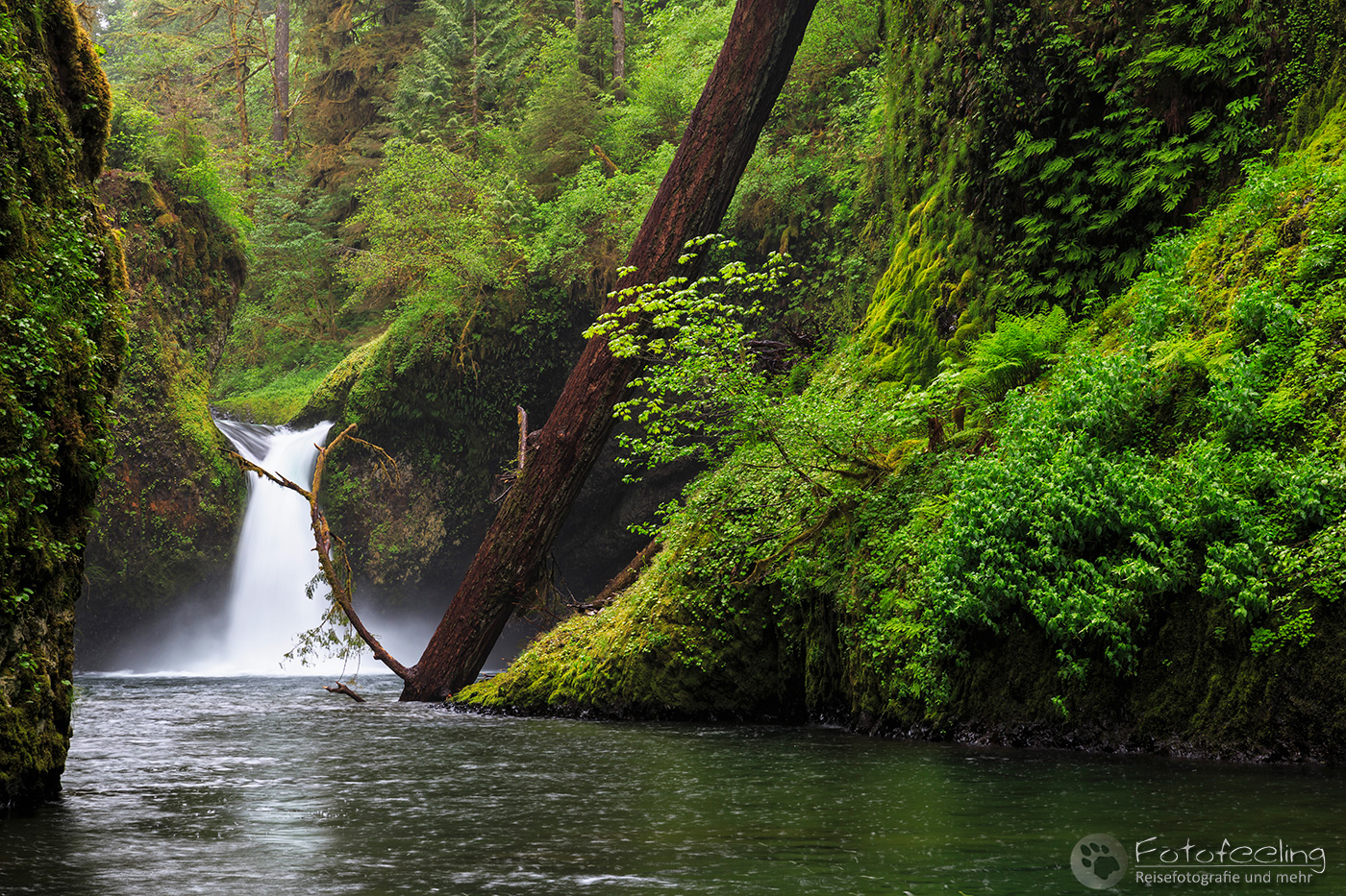 Punch Bowl Falls, Eagle Creek Trail, Columbia River Gorge