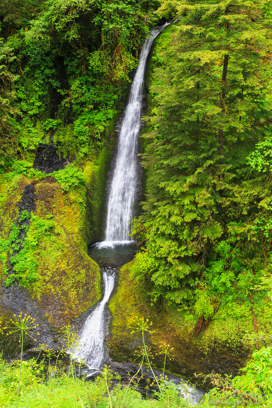 Tunnel Falls, Eagle Creek Trail, Columbia River Gorge, Columbia River Gorge