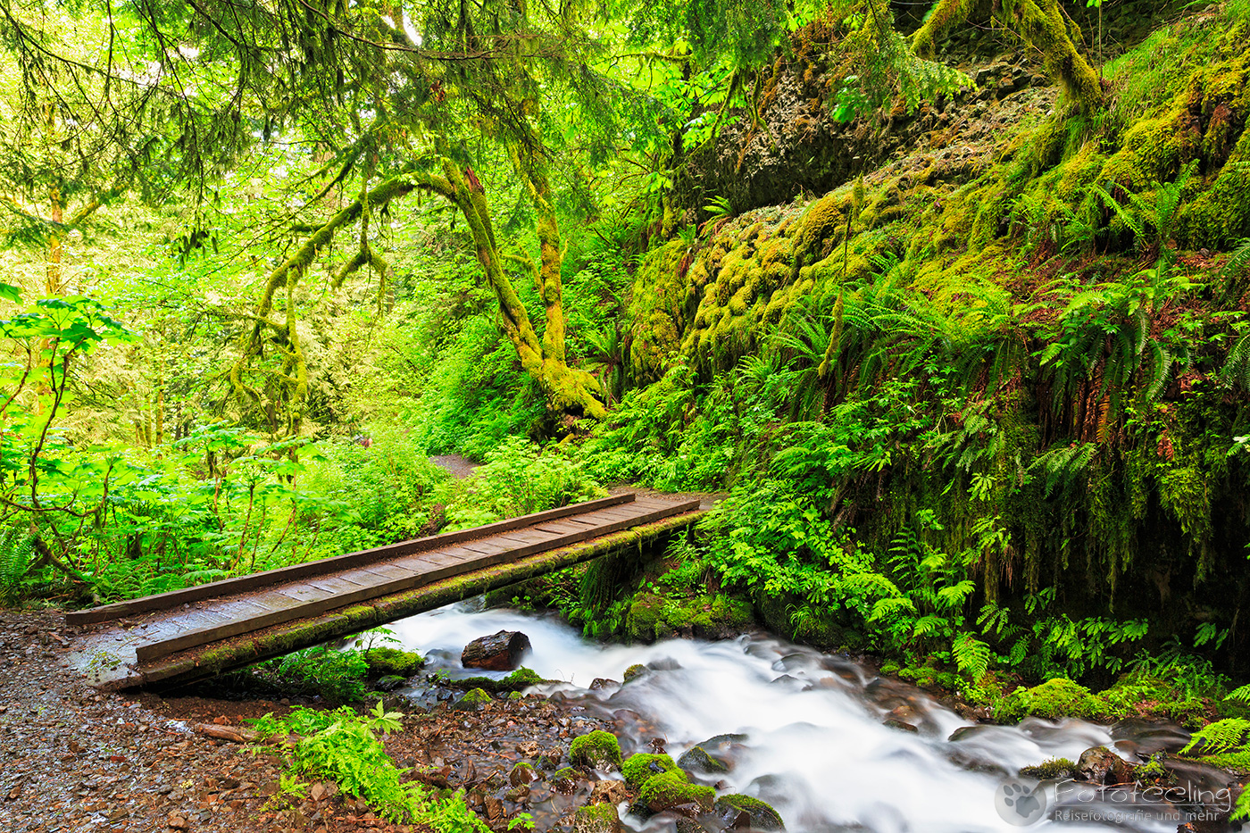 Multnomah Falls Wahkeena Falls Loop, Columbia River Gorge