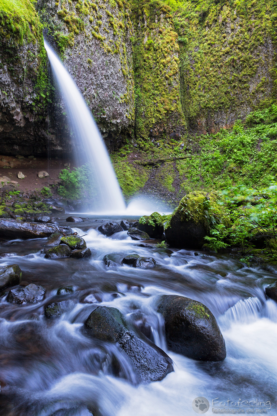 Ponytail Falls, Columbia River Gorge