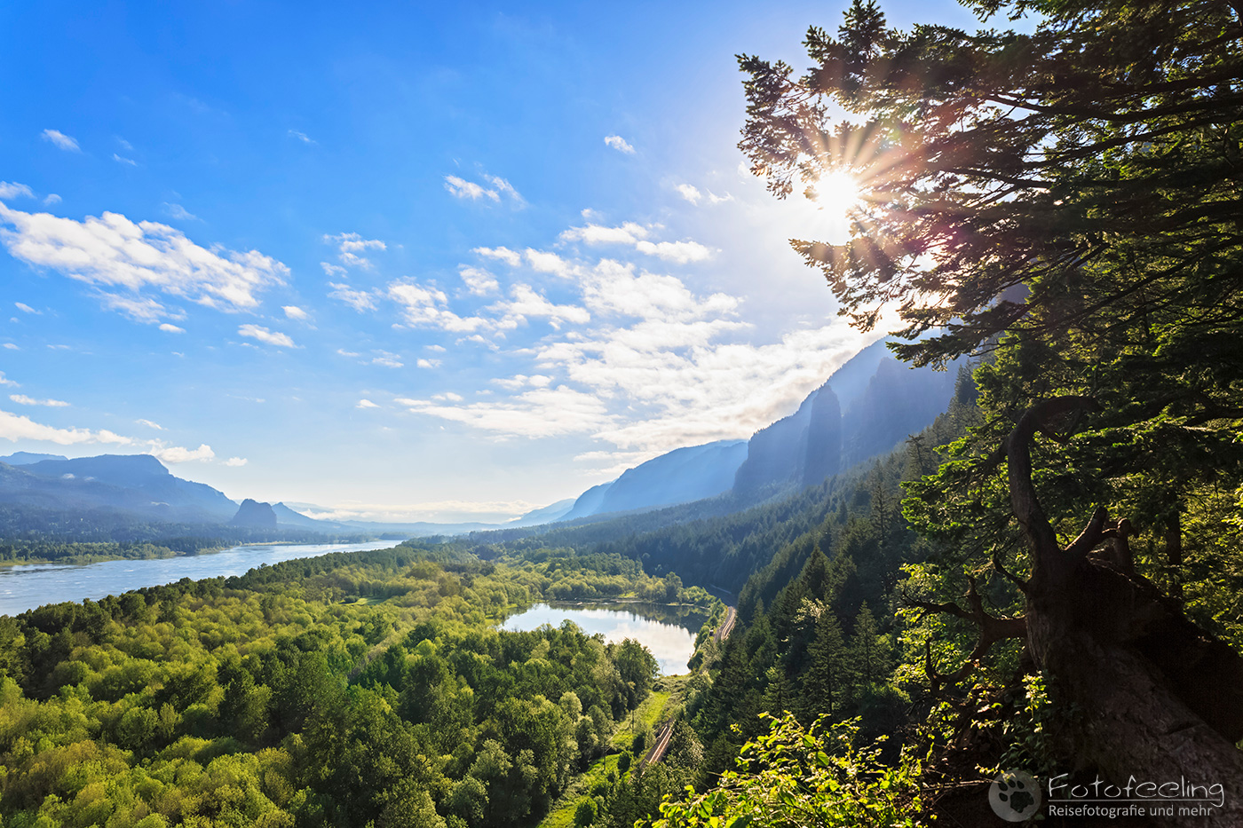 Ausblick auf den Columbia River, Columbia River Gorge