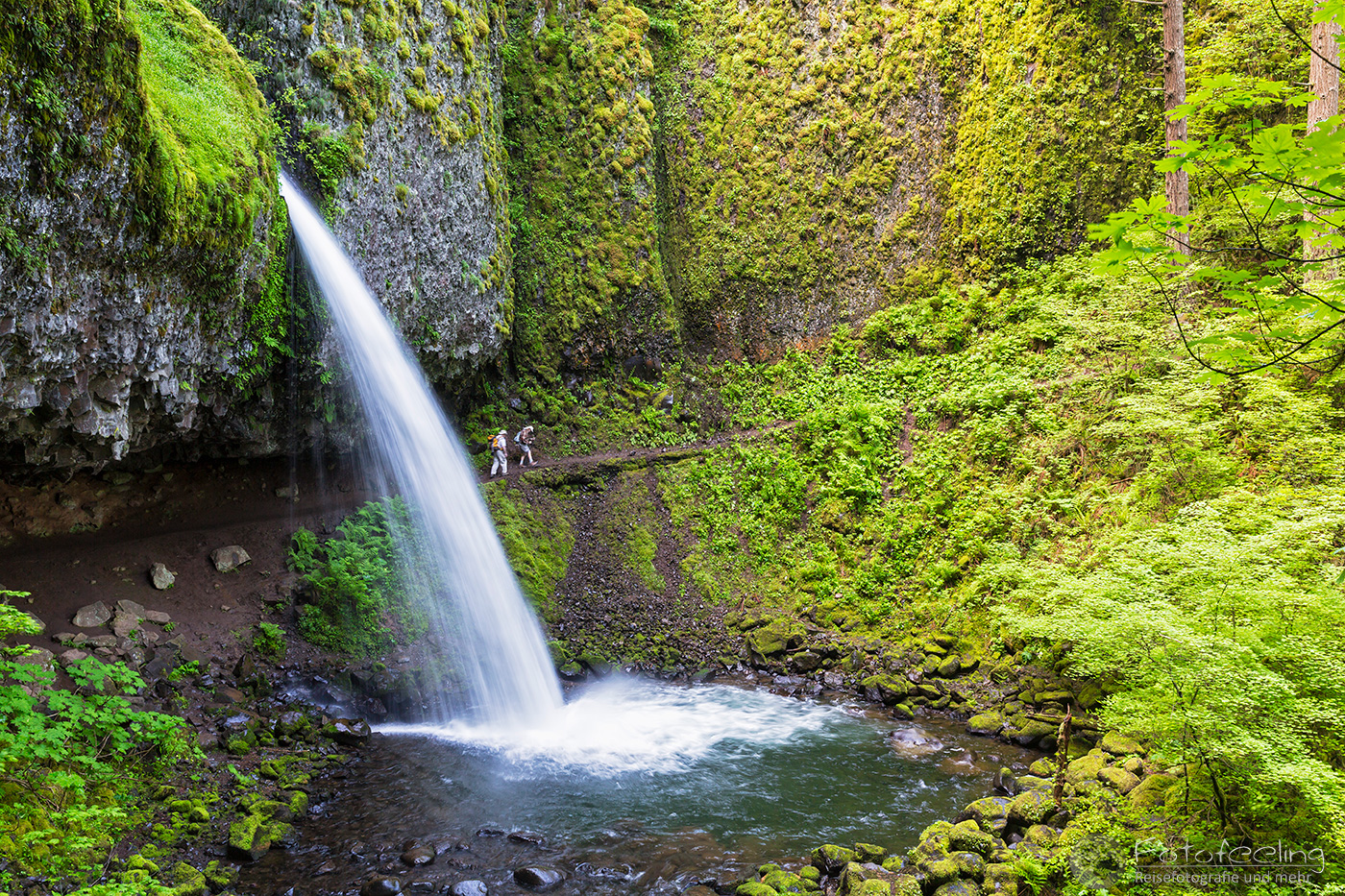 Ponytail Falls, Columbia River Gorge
