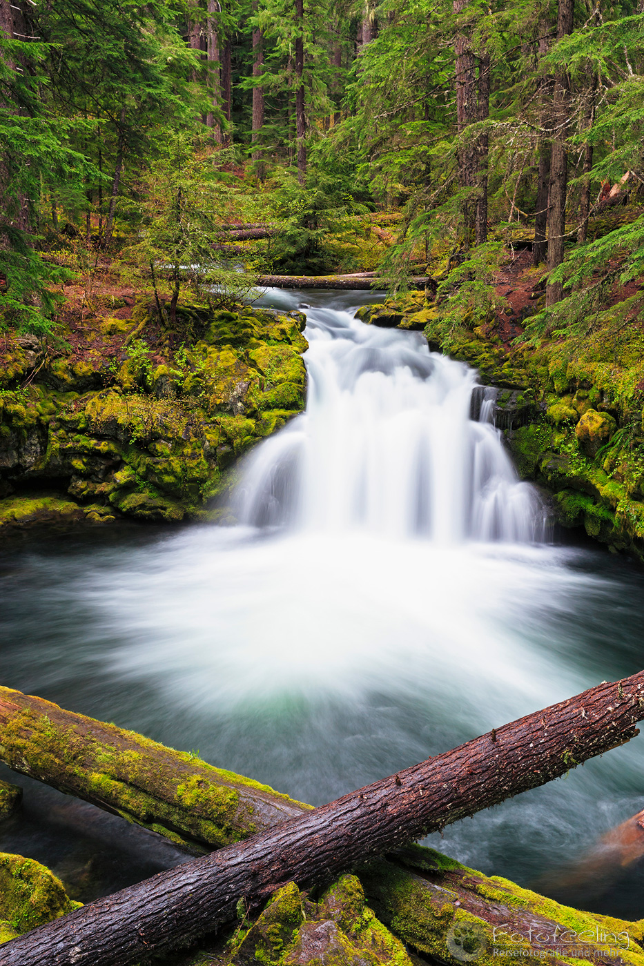 Whitehorse Falls, Umpqua River