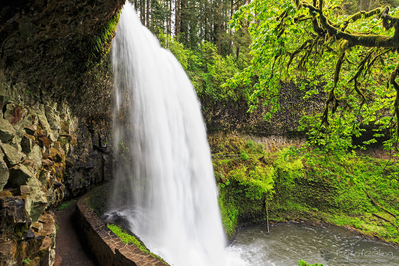 Lower South Falls, Silver Falls State Park