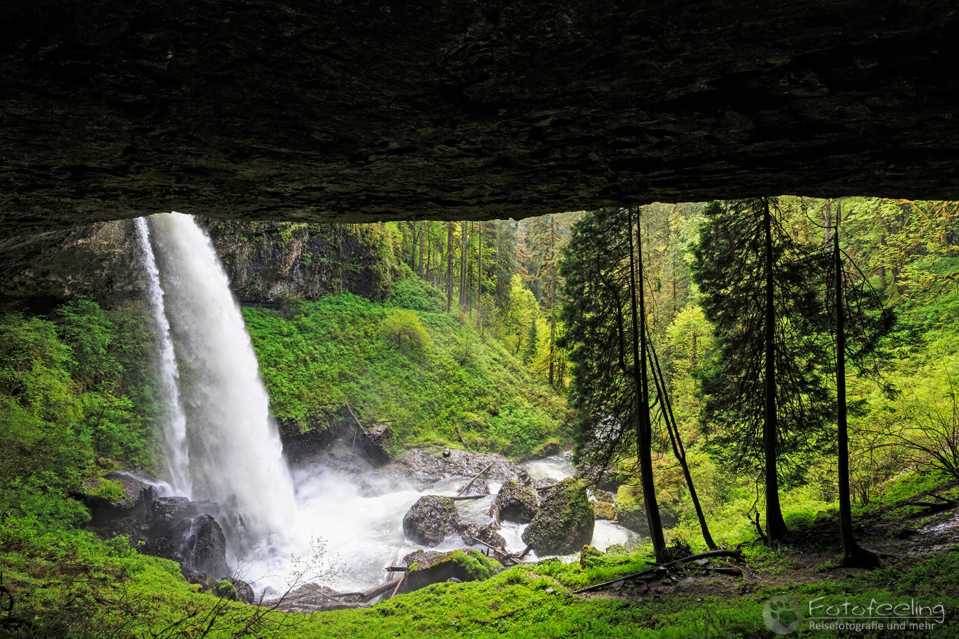 North Falls, Silver Falls State Park