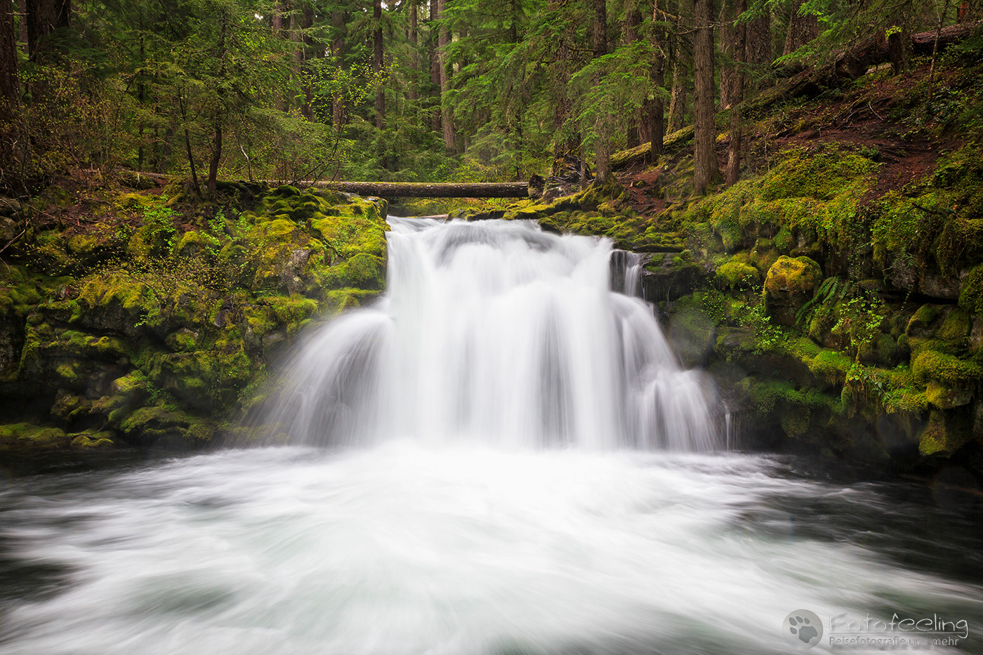 Whitehorse Falls, Umpqua River