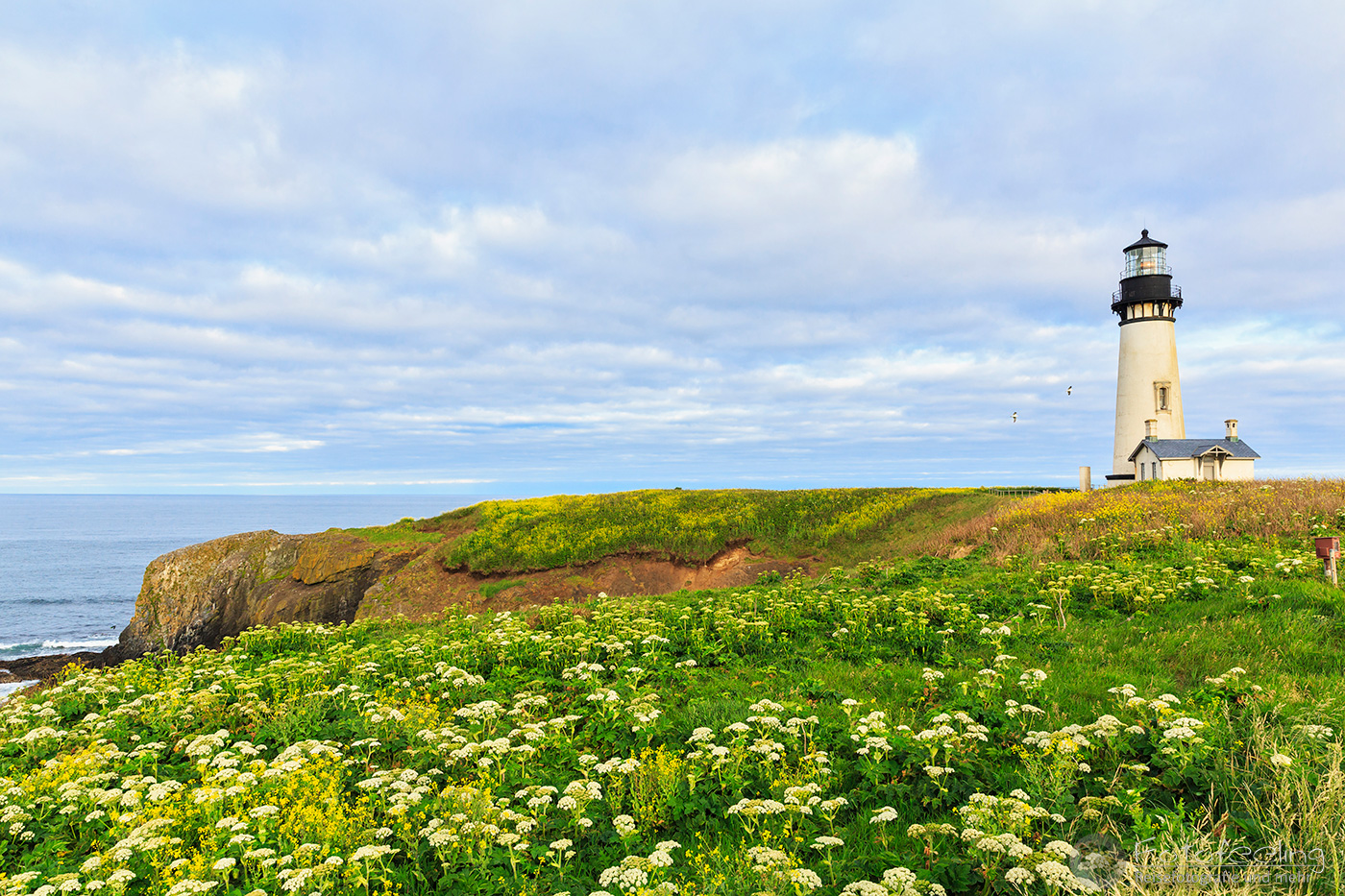 Yaquina Head Lighthouse (Cape Foulweather Lighthouse)