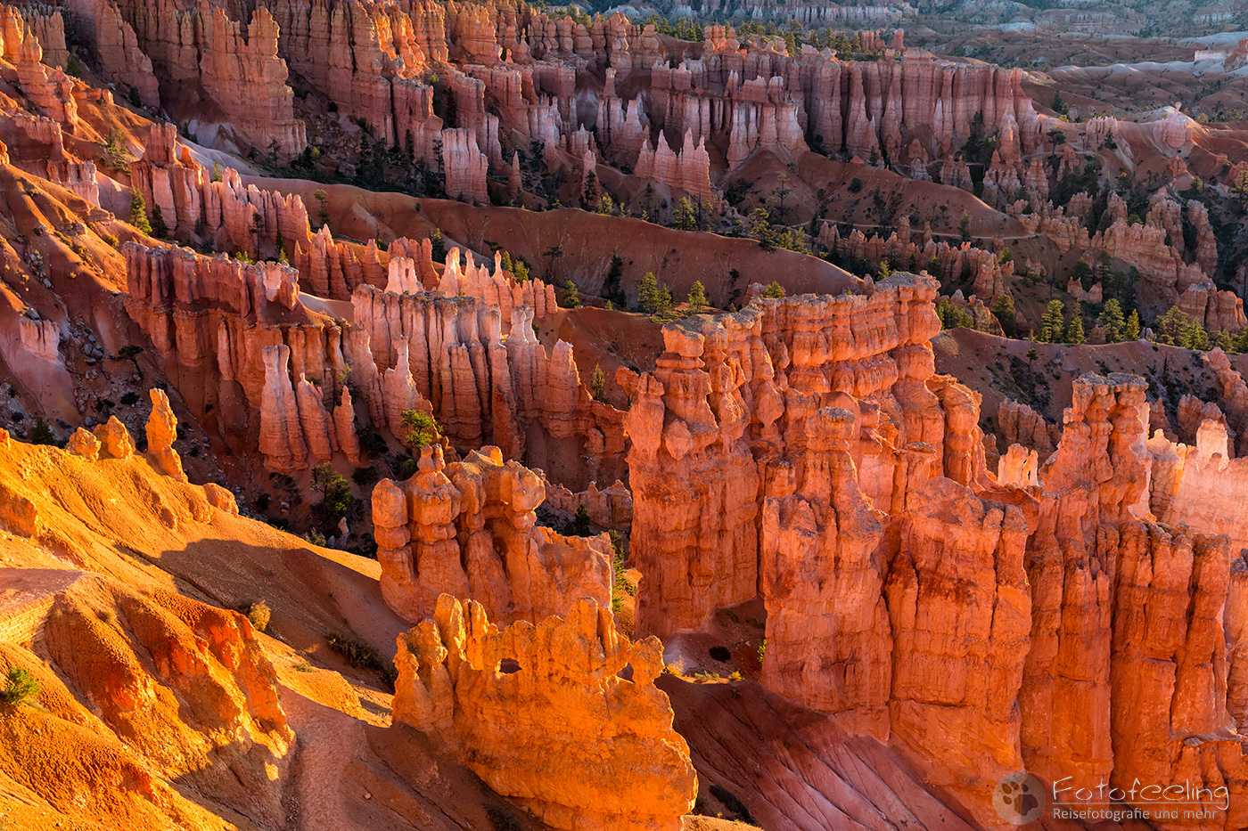 Aussicht vom Rim Trail auf die  Felspyramiden bzw. Hoodoos im Amphitheater