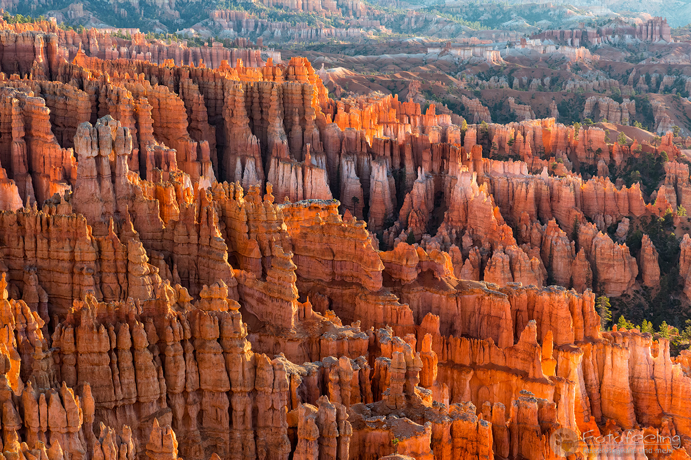 Aussicht vom Rim Trail auf die  Felspyramiden bzw. Hoodoos im Amphitheater