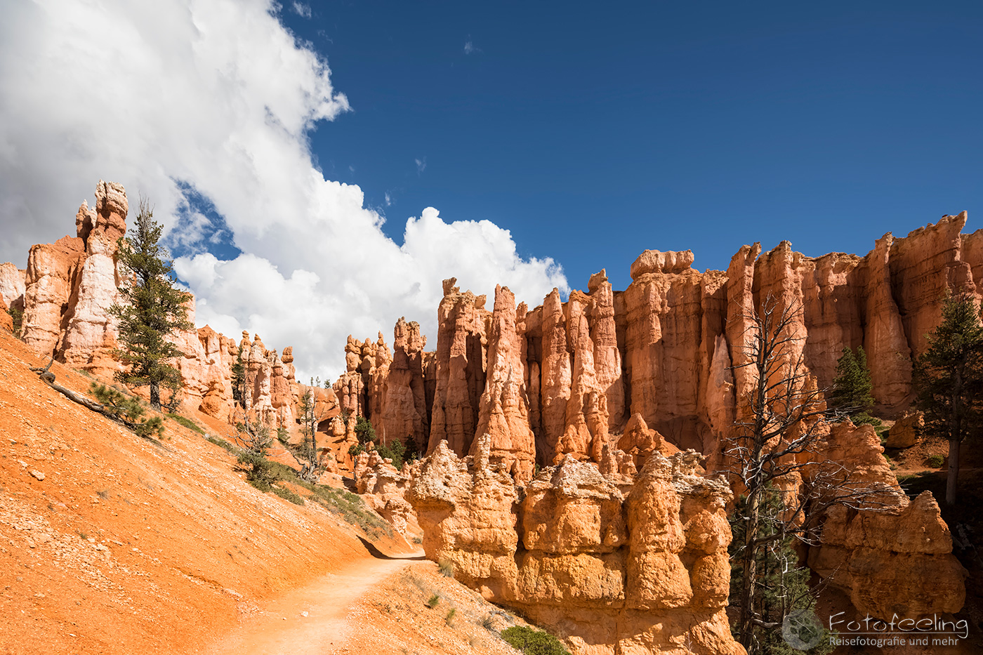 Navajo Loop & Queens Garden Trail