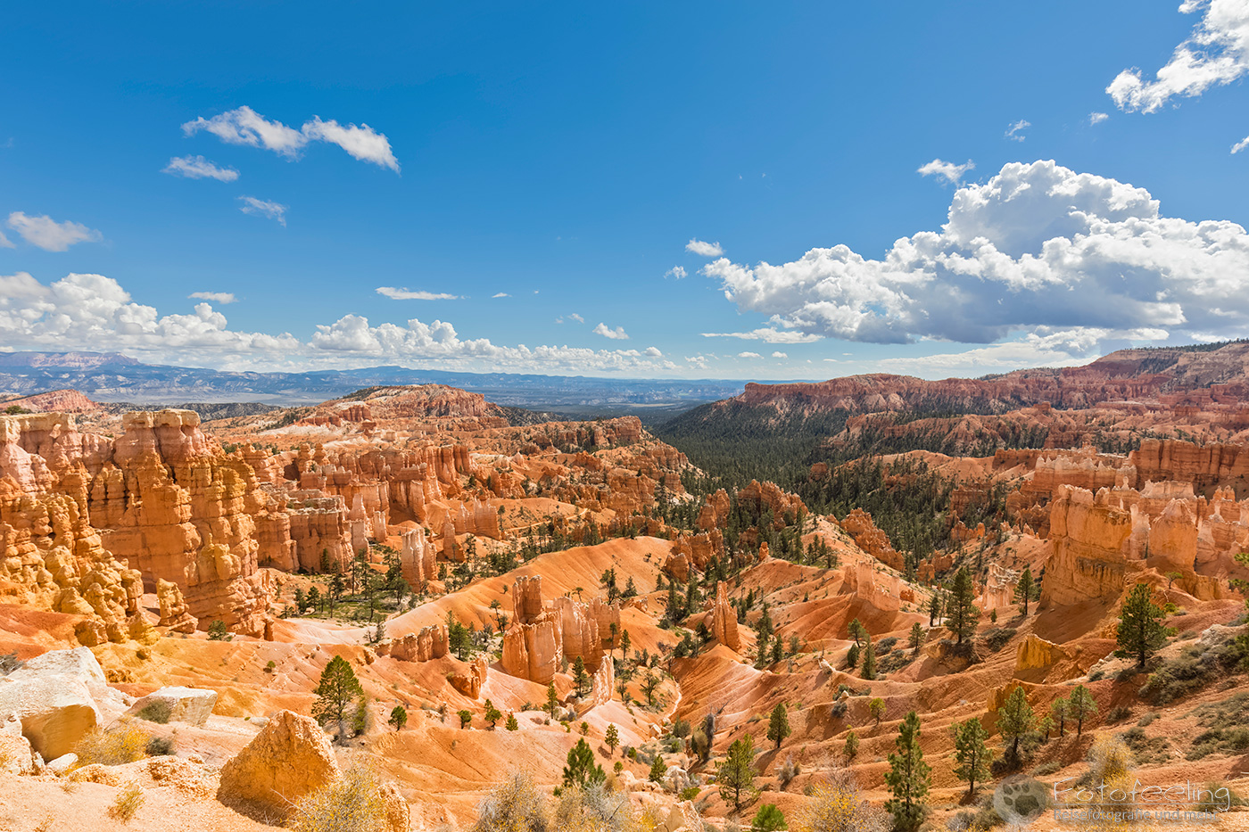 Aussicht vom Rim Trail auf die  Felspyramiden bzw. Hoodoos im Amphitheater