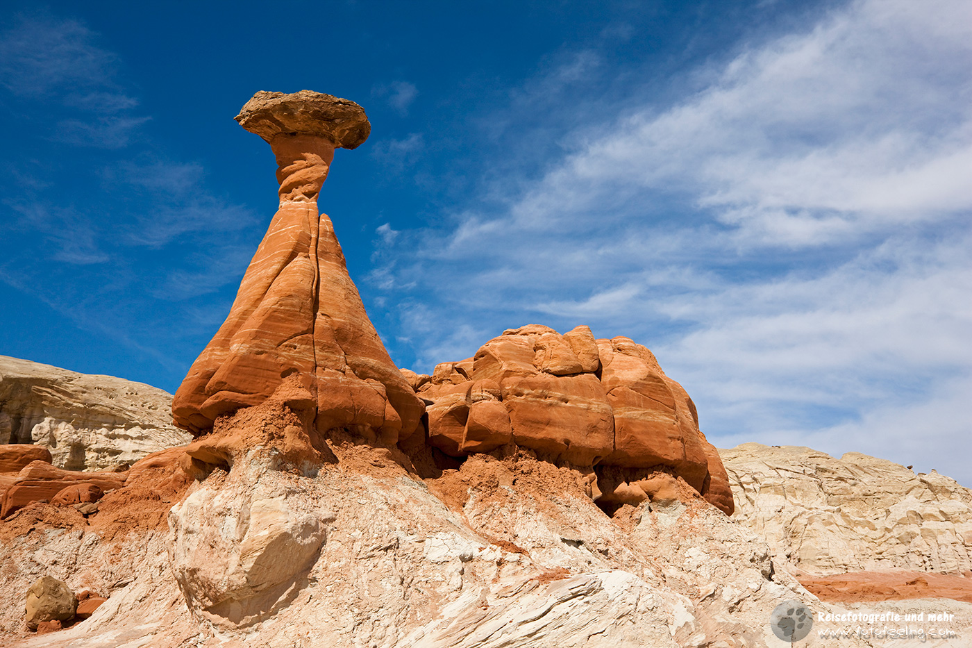 Camx USA09 10 ACS5188 n