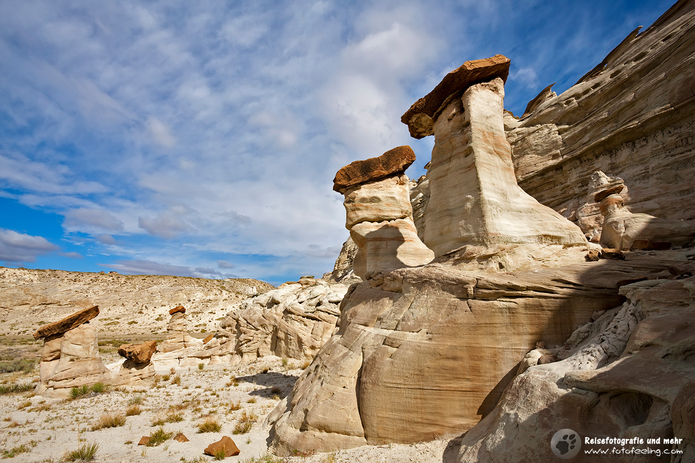 Hoodoos im White Valley