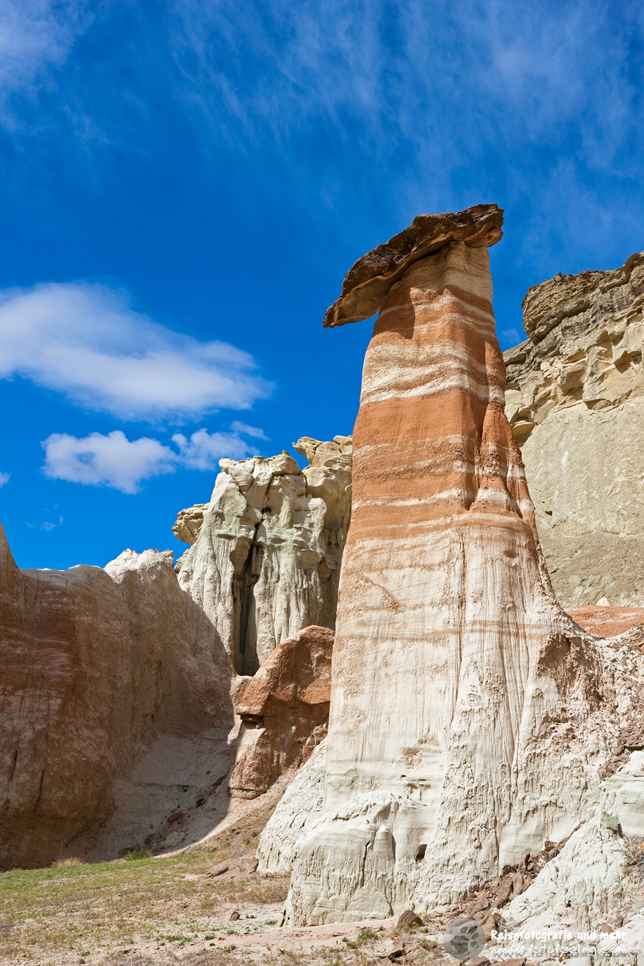 Hoodoos im White Valley