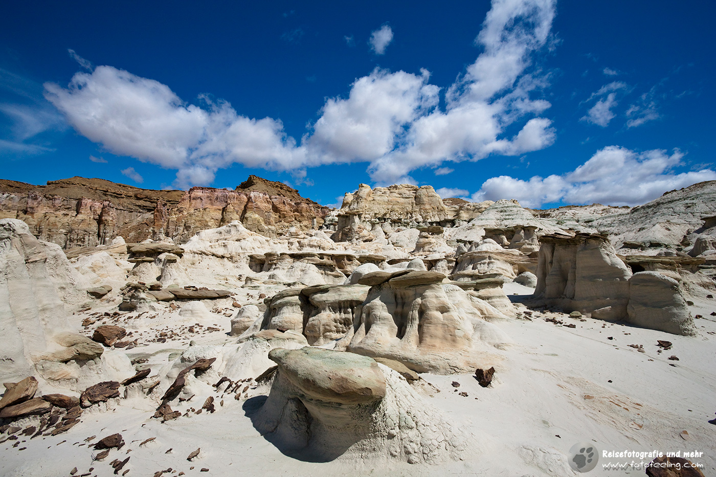 Hoodoos im White Valley