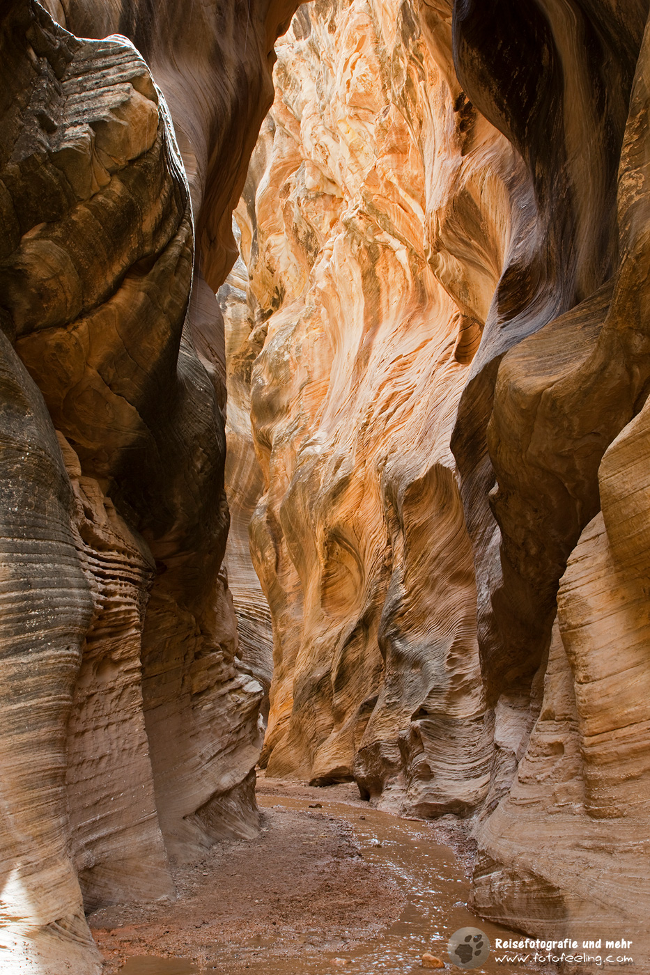 Willis Creek Slot Canyon