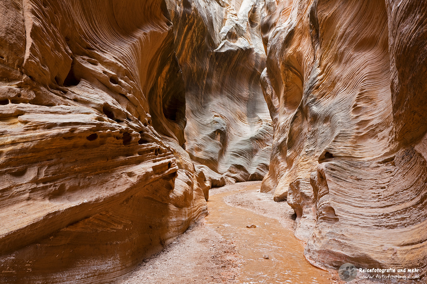 Willis Creek Slot Canyon