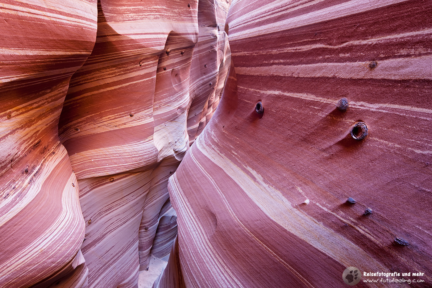 Zebra Slot Canyon