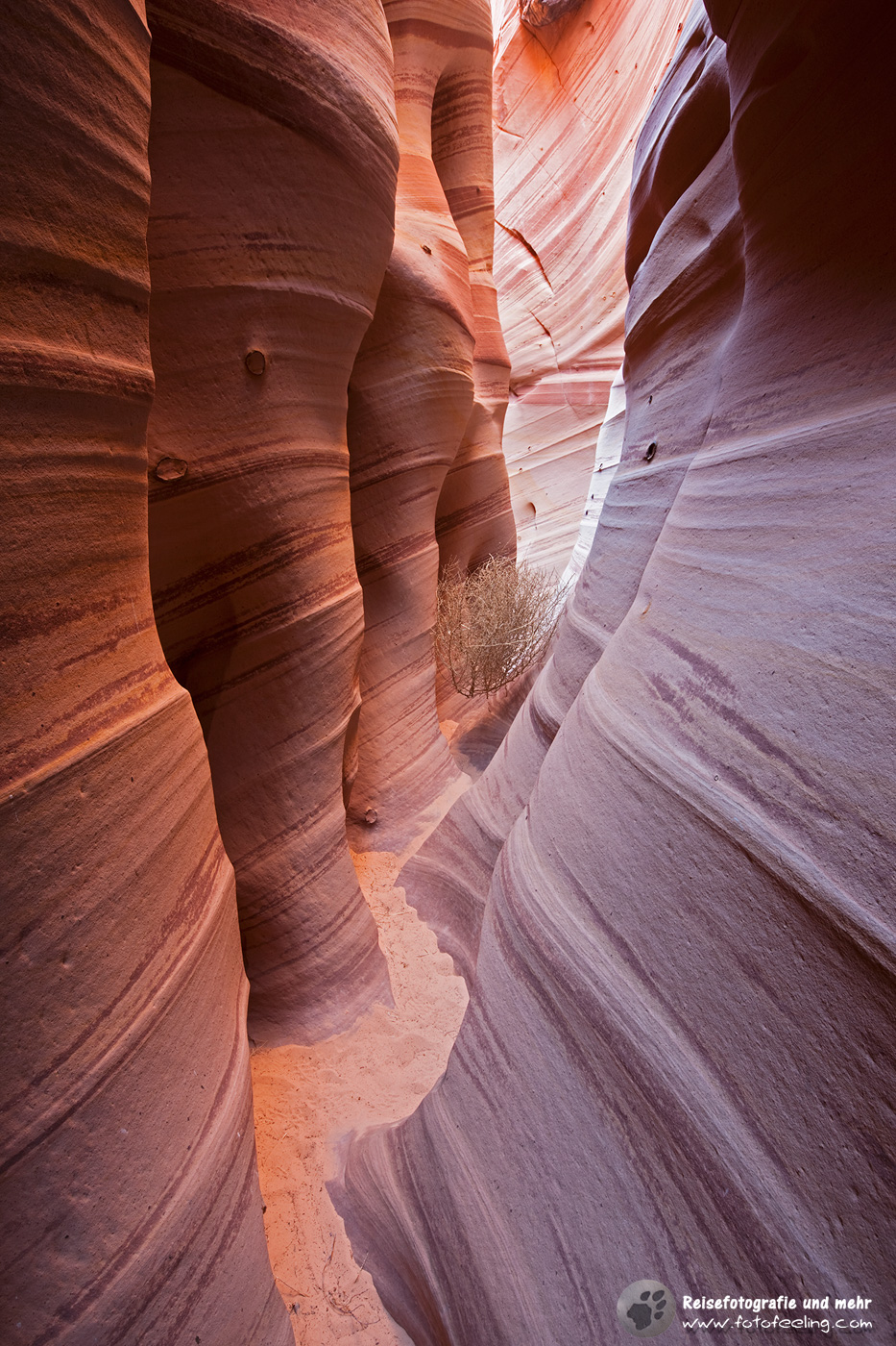 Zebra Slot Canyon