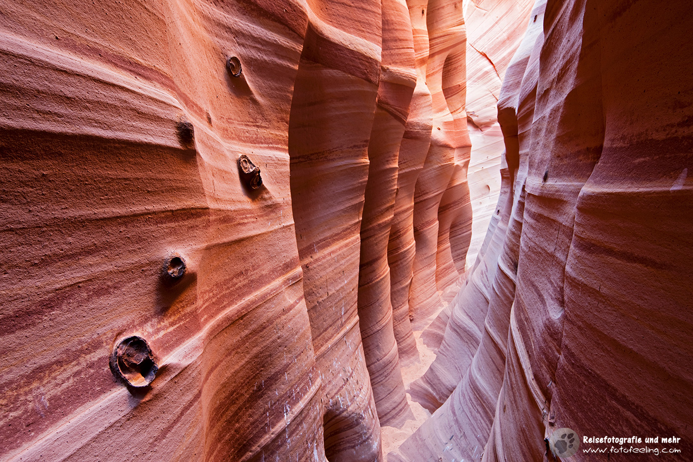 Zebra Slot Canyon