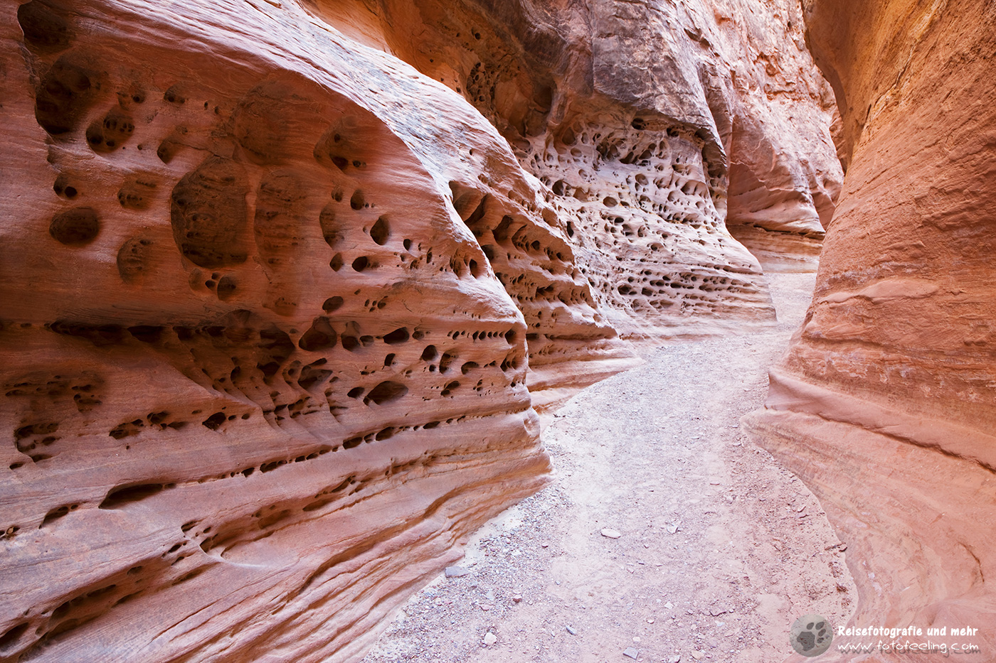 Ausgewaschene Löcher im Felsen, Little Wild Horse Canyon